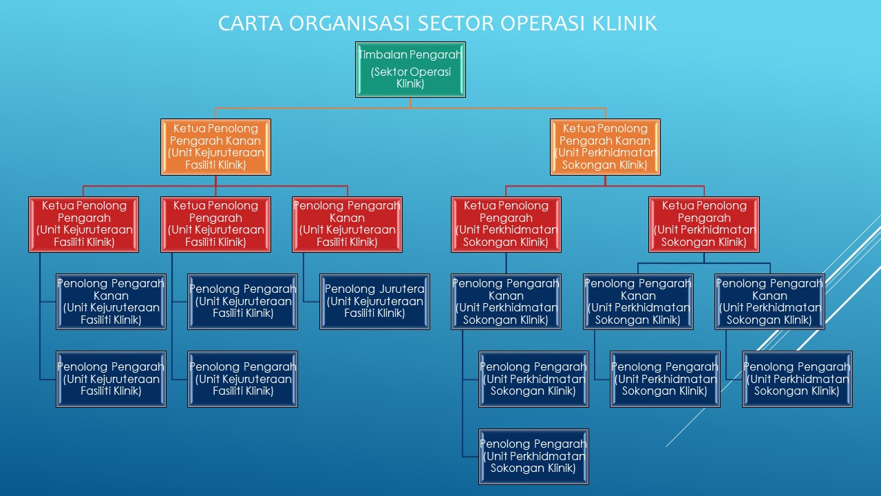 carta organisasi sok
