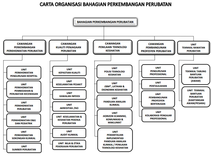 Organisational Chart