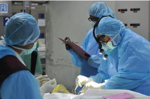 Screenshot 2024 05 23 082927