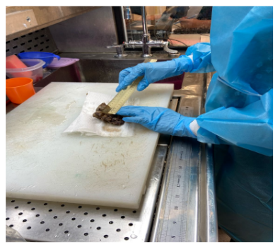 Screenshot 2024 05 28 152750